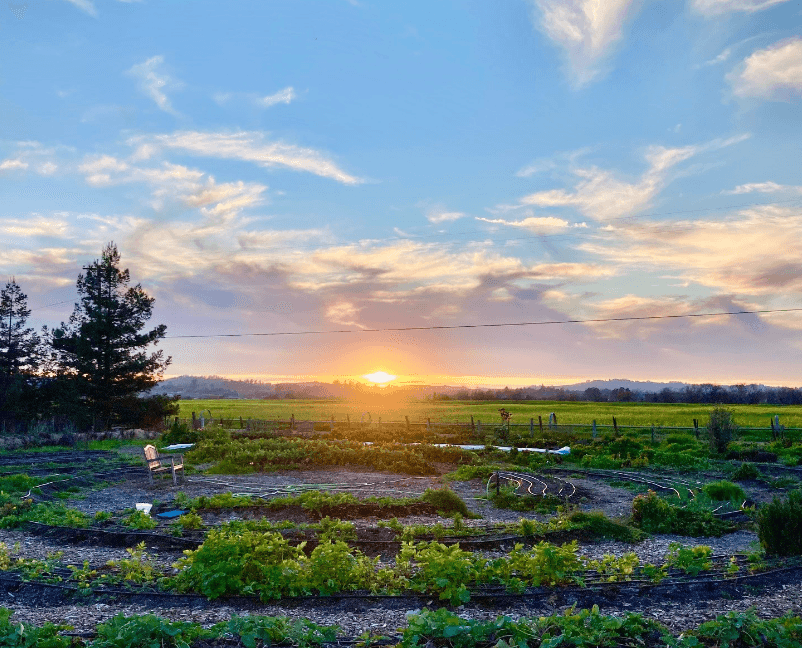 Farm and Garden Center